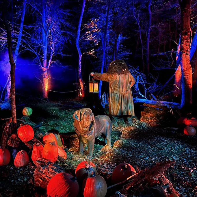 Hagrid (Large Man) and dog in the woods with pumpkins, the scene is lit with lights.